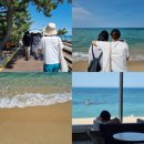 산성우1리 | 뚜벅이 강릉 당일치기 기록 | 여행경비 포함 (서울역KTX, 정동진레일바이크, 영동막국수, 안목해변...