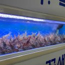 잘터지는 보물섬PC 이미지