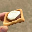 예쁘개&사랑스럽개 | @애견동반강릉여행 가평휴게소 애견놀이터 펫파크 가평맛남샌드