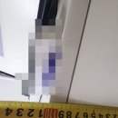 리치빌펜션 이미지