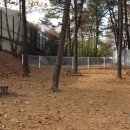 신원3리 이미지