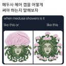 주식회사 메두사 이미지