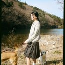 글로벌진돗개 이미지