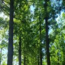 가양역 2번출구 이미지