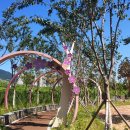 부산대양산캠퍼스역 이미지