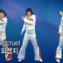 치즈플라워 이미지