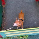 대원1리 이미지