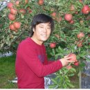 오후5시;사과밭 이미지