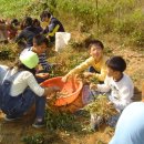 아름농장 이미지