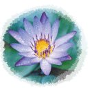 재무부알림 (11 월 11 일 ) 이미지