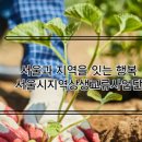 해초상회 이미지