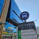 [용산역] 파인더트리 에스테틱 : 문배동 피부관리샵 탄력관리 솔직후기