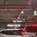 직관 후기ㅣ250505_한화 VS 삼성 직관 : 대전한화생명볼파크 후기 / 한화 신구장 좋았던 점과 아쉬웠던 점
