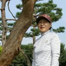 단골사 이미지