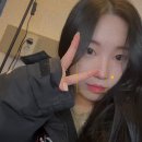 아라실 이미지