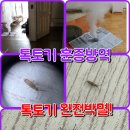 구미 왜관 칠곡 북삼 성주 고령 김천 상주 안동톡토기방역 톡토기박멸 톡토기벌레박멸 톡톡이방역 하얀벌레방역 톡토기벌레 훈증방역 완전박멸 이미지