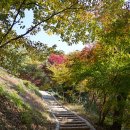 영주 부석사 석조석가여래좌상 | 영주 부석사 자인당 부근에서..