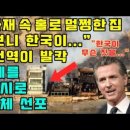 &#34;LA 화재 속 홀로 멀쩡한 집 알고 보니 한국이...&#34; 미국 전역이 발칵 / LA전체를 한국도시로 전면 교체 선포 이미지