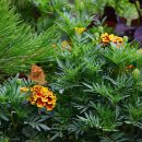 주몽학교 이미지