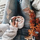 목적지9 이미지