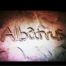 알바트로스(Albatrus)