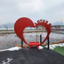 선사농원 | 양주 연꽃 빌리지관광농원 3번째 방문 후기