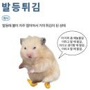서포횟집 - 창원시 의창구 하남천서길 15 | 서포횟집