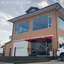 도그캠프 이미지