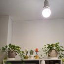 신가오주유소 이미지