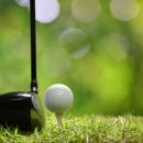 소노인터내셔널천안지점 이미지