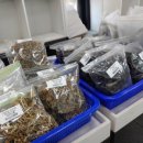 신도바다역 이미지