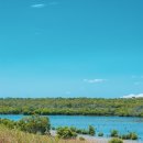 축령산자연휴양림 이미지