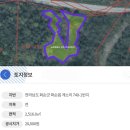 G0331 네이버블로그