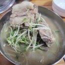 해맞이승마클럽 | 세 번째 여행 이야기 : 제주도 2편 중 2편