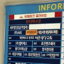 5636 | 대전태닝 몰디브태닝 둔산점 화이트태닝 후기