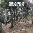 명동 선착장 | 진해 당일치기 여행 소쿠리섬 명동선착장 배시간, 캠핑 사슴 본 후기
