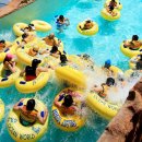 비발디파크오션월드 이미지