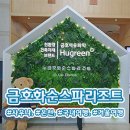 통도해운온천타운 | [전남/화순군] 🏊‍♂️온천워터파크 🏨금호 화순 스파 리조트 국내 여행지 추천