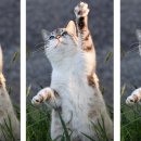 일송식품 이미지