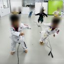 엘리트 태권도장 이미지