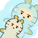 미그웨치 이미지