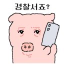 속초중앙포차 이미지