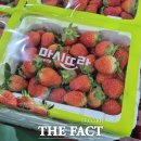 곤명농협농산물산지유통센터 이미지