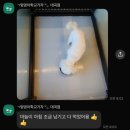 멍멍아학교가자 (시지점) 이미지