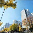 천마세탁소 이미지