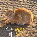 갓구워낸빵