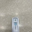 진현우동물병원 | 한국일상 - 고양이 심근 비대증(HCM)