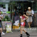노아마트