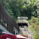 고수동굴 주차장 | 단양 고수동굴 입장료, 소요시간, 주차장 후기 (계단 주의)