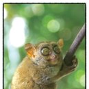 안경마을(구영) 이미지